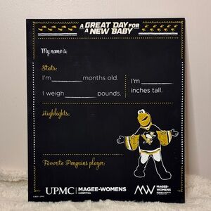 Pittsburgh Penguins Baby Milestone Board A Great Day for a New Baby